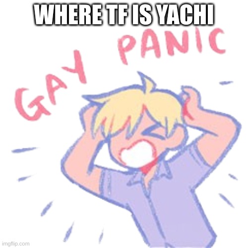  WHERE TF IS YACHI | image tagged in gay panic | made w/ Imgflip meme maker