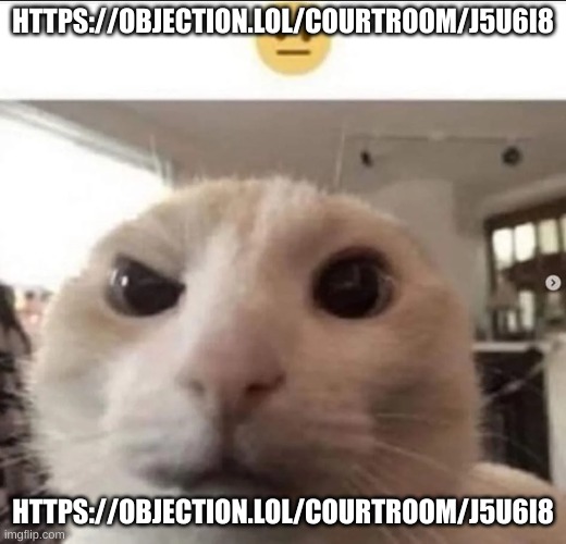 https://objection.lol/courtroom/j5u6i8 | HTTPS://OBJECTION.LOL/COURTROOM/J5U6I8; HTTPS://OBJECTION.LOL/COURTROOM/J5U6I8 | image tagged in raised eyebrow cat | made w/ Imgflip meme maker