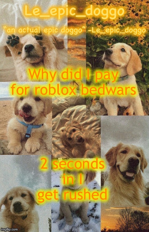 Doggo temp by doggo. Wait what that’s confusing | Why did I pay for roblox bedwars; 2 seconds in I get rushed | image tagged in doggo temp by doggo wait what that s confusing | made w/ Imgflip meme maker