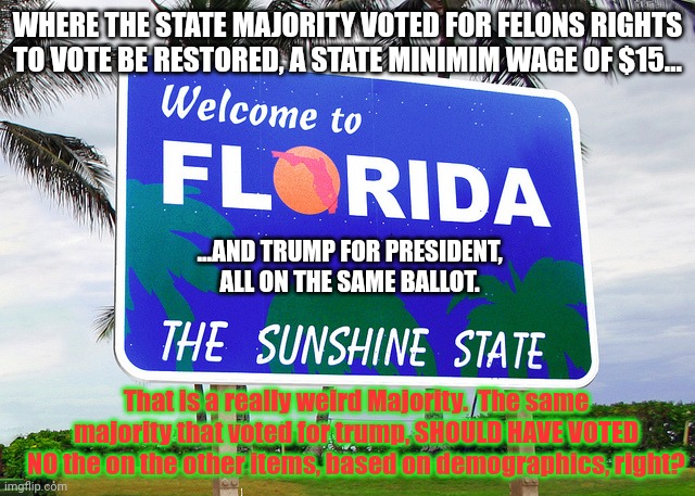Make America Florida!! | WHERE THE STATE MAJORITY VOTED FOR FELONS RIGHTS TO VOTE BE RESTORED, A STATE MINIMIM WAGE OF $15... ...AND TRUMP FOR PRESIDENT, ALL ON THE SAME BALLOT. That is a really weird Majority.  The same majority that voted for trump, SHOULD HAVE VOTED NO the on the other items, based on demographics, right? | image tagged in florida | made w/ Imgflip meme maker