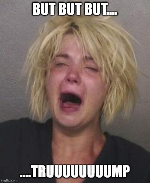 CryingWoman | BUT BUT BUT.... ....TRUUUUUUUUMP | image tagged in cryingwoman | made w/ Imgflip meme maker