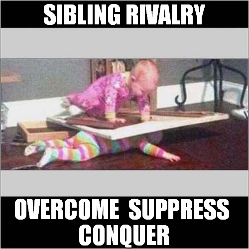 I Can Relate ! | SIBLING RIVALRY; OVERCOME  SUPPRESS 
CONQUER | image tagged in i can relate,sibling rivalry,dark humour | made w/ Imgflip meme maker