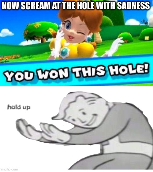 You won this hole | NOW SCREAM AT THE HOLE WITH SADNESS | image tagged in you won this hole | made w/ Imgflip meme maker