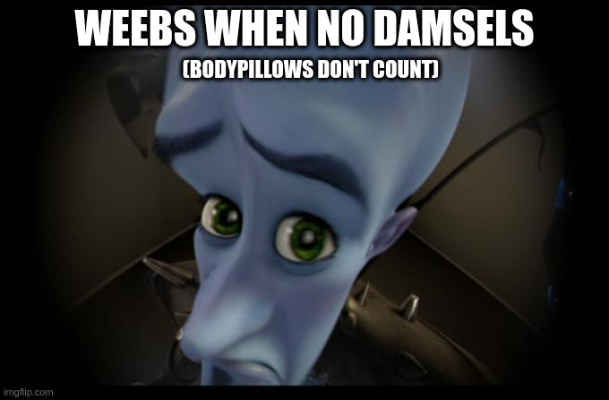 No B****es? | WEEBS WHEN NO DAMSELS; (BODYPILLOWS DON'T COUNT) | image tagged in no b es | made w/ Imgflip meme maker