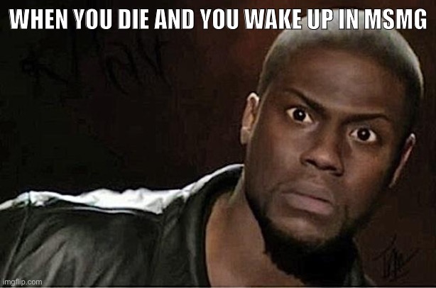Kevin Hart | WHEN YOU DIE AND YOU WAKE UP IN MSMG | image tagged in memes,kevin hart | made w/ Imgflip meme maker