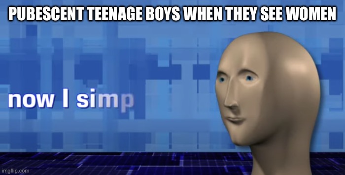 meme man now i simp | PUBESCENT TEENAGE BOYS WHEN THEY SEE WOMEN | image tagged in meme man now i simp | made w/ Imgflip meme maker