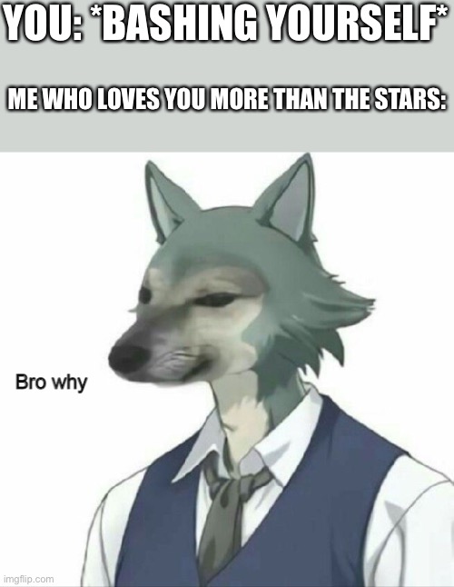 Why doe | YOU: *BASHING YOURSELF*; ME WHO LOVES YOU MORE THAN THE STARS: | image tagged in bro why,wholesome | made w/ Imgflip meme maker