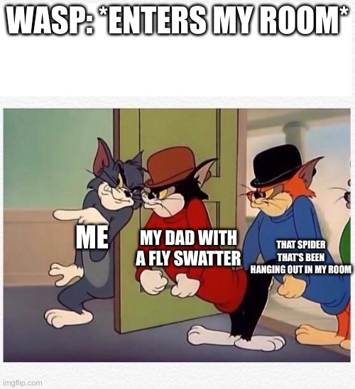 tom and jerry hired goons | WASP: *ENTERS MY ROOM*; THAT SPIDER THAT'S BEEN HANGING OUT IN MY ROOM; ME; MY DAD WITH A FLY SWATTER | image tagged in tom and jerry hired goons,wasp | made w/ Imgflip meme maker