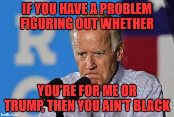Joe Biden pissed | IF YOU HAVE A PROBLEM FIGURING OUT WHETHER YOU'RE FOR ME OR TRUMP, THEN YOU AIN'T BLACK | image tagged in joe biden pissed | made w/ Imgflip meme maker