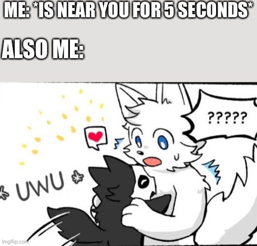DIBS | ME: *IS NEAR YOU FOR 5 SECONDS*; ALSO ME: | image tagged in wholesome,furry,hug | made w/ Imgflip meme maker
