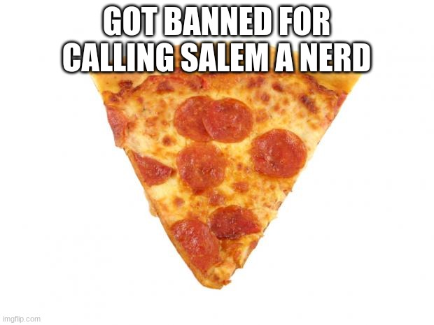 Mildly arousing pizza slice | GOT BANNED FOR CALLING SALEM A NERD | image tagged in mildly arousing pizza slice | made w/ Imgflip meme maker