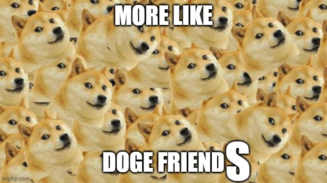Multi Doge Meme | MORE LIKE DOGE FRIEND S | image tagged in memes,multi doge | made w/ Imgflip meme maker