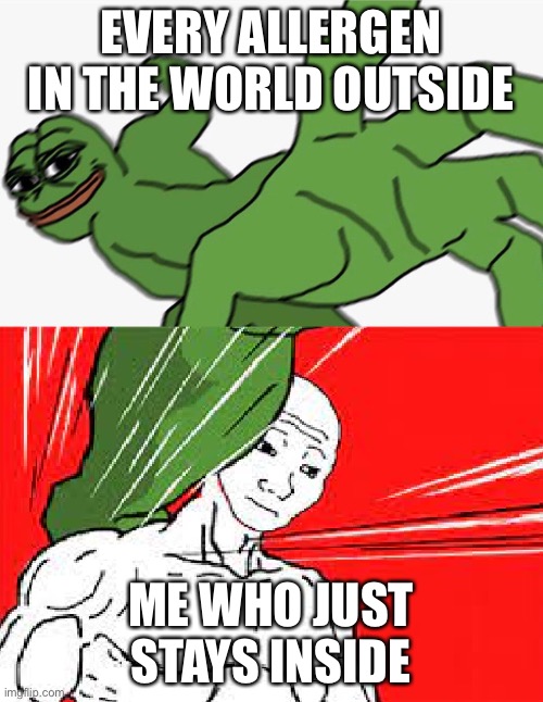 Pepe punch vs. Dodging Wojak | EVERY ALLERGEN IN THE WORLD OUTSIDE ME WHO JUST STAYS INSIDE | image tagged in pepe punch vs dodging wojak | made w/ Imgflip meme maker