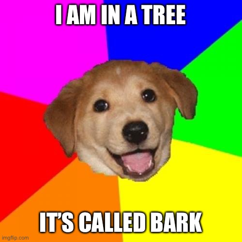 Advice Dog Meme | I AM IN A TREE; IT’S CALLED BARK | image tagged in memes,advice dog | made w/ Imgflip meme maker