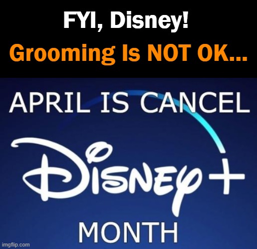 Parents Against Perversion | FYI, Disney! Grooming Is NOT OK... | image tagged in politics,disney,leave kids alone,innocence,stop the indoctrination,perverts | made w/ Imgflip meme maker
