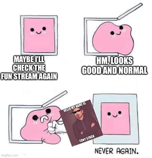 Never again | MAYBE I’LL CHECK THE FUN STREAM AGAIN; HM, LOOKS GOOD AND NORMAL | image tagged in never again | made w/ Imgflip meme maker