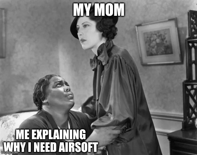  MY MOM; ME EXPLAINING WHY I NEED AIRSOFT | image tagged in begging | made w/ Imgflip meme maker