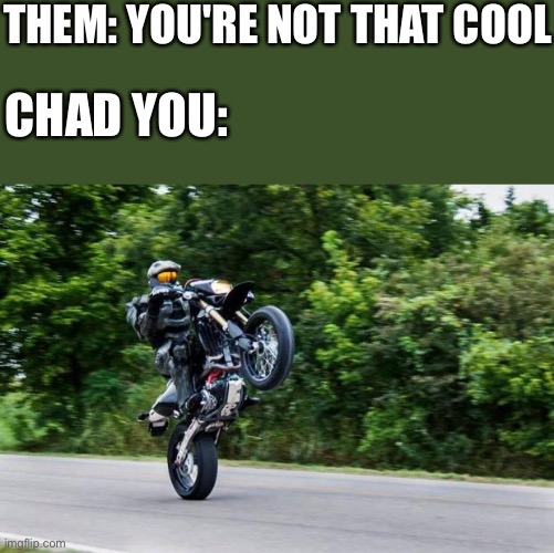 WHOO HOOO | THEM: YOU'RE NOT THAT COOL; CHAD YOU: | image tagged in halo spartan,wholesome | made w/ Imgflip meme maker