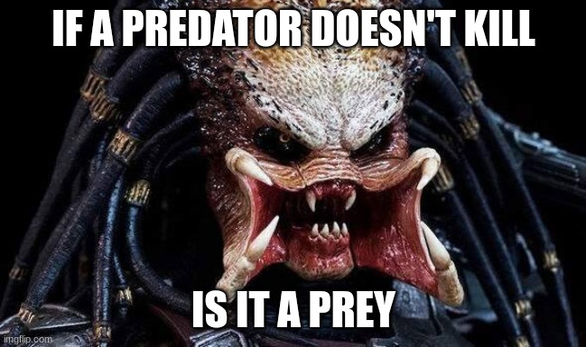 predator | IF A PREDATOR DOESN'T KILL; IS IT A PREY | image tagged in predator,inspired by pearce farr account | made w/ Imgflip meme maker
