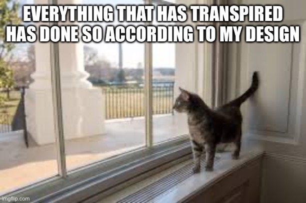 Senator Willow | EVERYTHING THAT HAS TRANSPIRED HAS DONE SO ACCORDING TO MY DESIGN | image tagged in senator willow | made w/ Imgflip meme maker