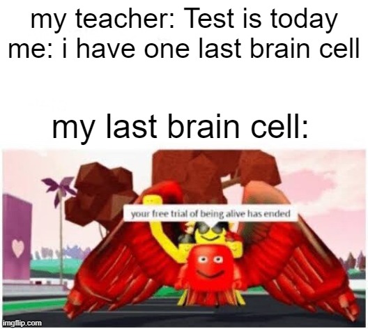 Comment if relatable | my teacher: Test is today
me: i have one last brain cell; my last brain cell: | image tagged in your free trial of being alive has ended,school,relatable,meme | made w/ Imgflip meme maker