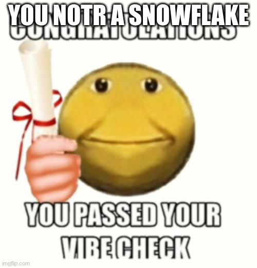 passed the vibe check | YOU NOTR A SNOWFLAKE | image tagged in passed the vibe check | made w/ Imgflip meme maker