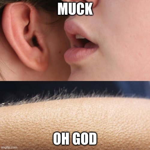 Whisper and Goosebumps | MUCK; OH GOD | image tagged in whisper and goosebumps | made w/ Imgflip meme maker