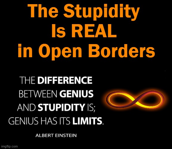 The Stupidity 
Is REAL 
in Open Borders | made w/ Imgflip meme maker