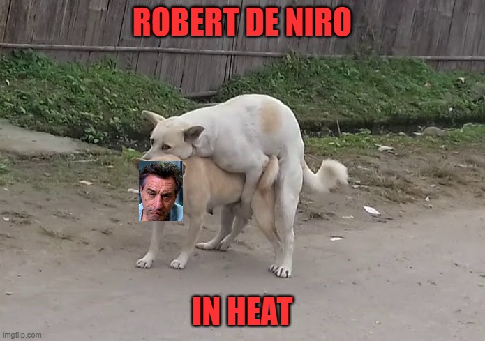 Dogs screwing | ROBERT DE NIRO IN HEAT | image tagged in dogs screwing | made w/ Imgflip meme maker