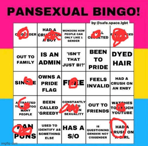 the macrinantions of my bicurious mind | image tagged in pansexual bingo,yes | made w/ Imgflip meme maker