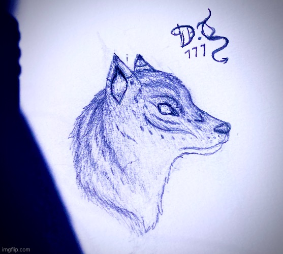 I haven’t made wolves in forever so I did this at school today :D | image tagged in drawing,wolf,sketch,ort | made w/ Imgflip meme maker