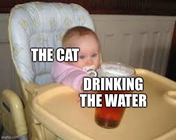 So close | THE CAT DRINKING THE WATER | image tagged in so close | made w/ Imgflip meme maker