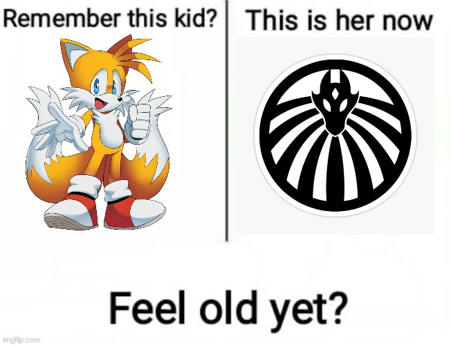 9TF. yes. | image tagged in remember this kid,fox,scp | made w/ Imgflip meme maker
