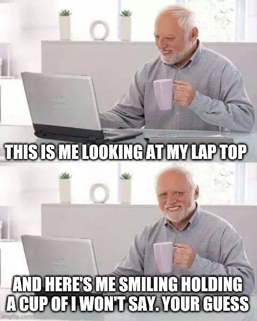 Hide the Pain Harold | THIS IS ME LOOKING AT MY LAP TOP; AND HERE'S ME SMILING HOLDING A CUP OF I WON'T SAY. YOUR GUESS | image tagged in memes,hide the pain harold | made w/ Imgflip meme maker