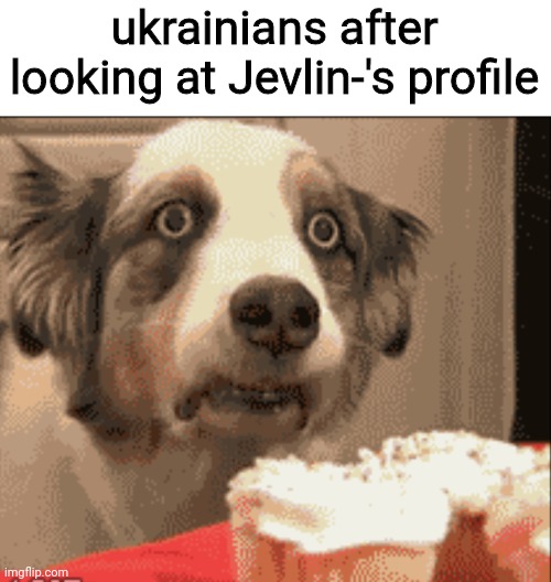 PTSD dog | ukrainians after looking at Jevlin-'s profile | image tagged in ptsd dog | made w/ Imgflip meme maker