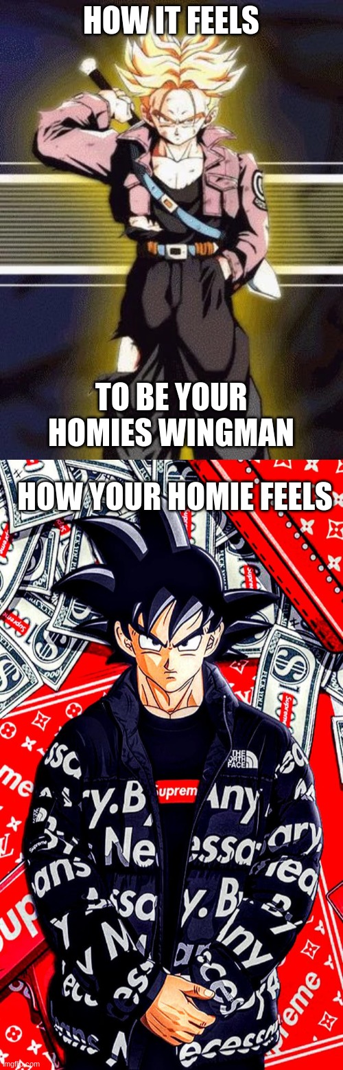 Homies Forever | HOW IT FEELS; TO BE YOUR HOMIES WINGMAN; HOW YOUR HOMIE FEELS | image tagged in goku,trunks,dragon ball z,goku drip,homies | made w/ Imgflip meme maker