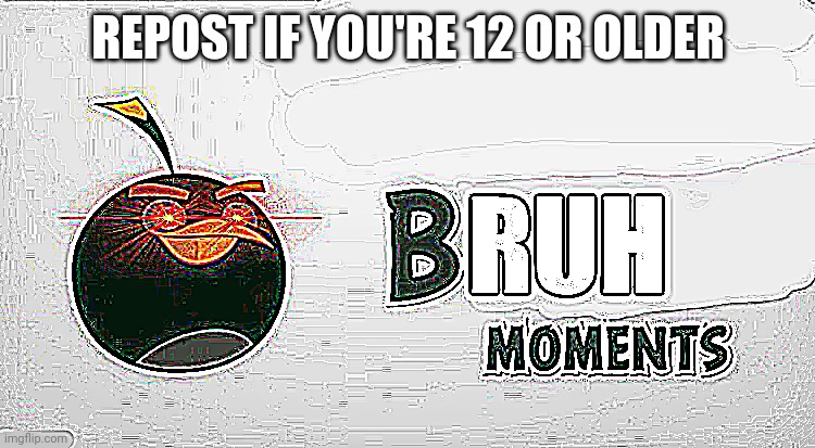 Bruh Moments | REPOST IF YOU'RE 12 OR OLDER | image tagged in bruh moments | made w/ Imgflip meme maker