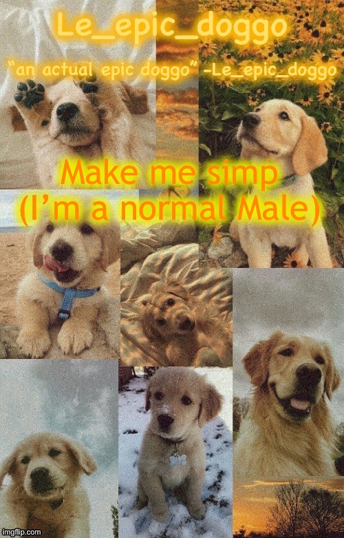 Doggo temp by doggo. Wait what that’s confusing | Make me simp (I’m a normal Male) | image tagged in doggo temp by doggo wait what that s confusing | made w/ Imgflip meme maker