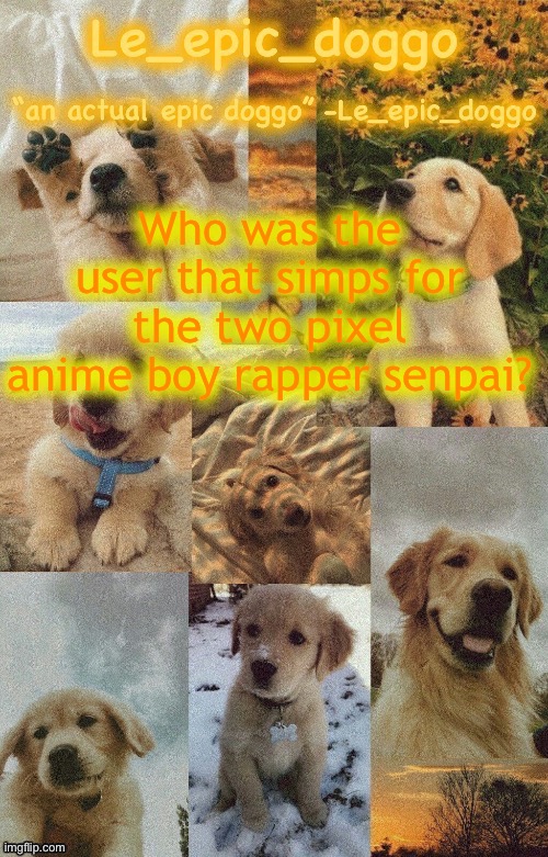 Doggo temp by doggo. Wait what that’s confusing | Who was the user that simps for the two pixel anime boy rapper senpai? | image tagged in doggo temp by doggo wait what that s confusing | made w/ Imgflip meme maker