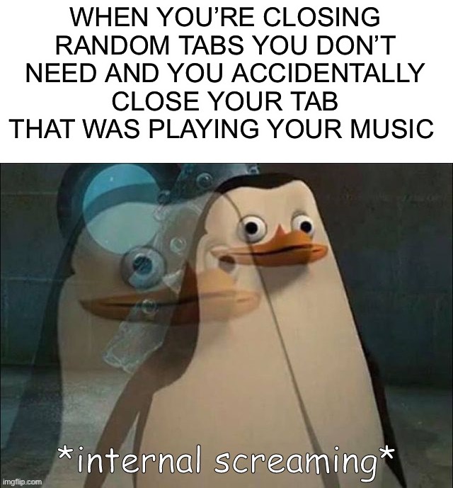 I’ve done this first hand | WHEN YOU’RE CLOSING RANDOM TABS YOU DON’T NEED AND YOU ACCIDENTALLY CLOSE YOUR TAB THAT WAS PLAYING YOUR MUSIC | image tagged in private internal screaming,memes,funny,music,internal screaming,pain | made w/ Imgflip meme maker