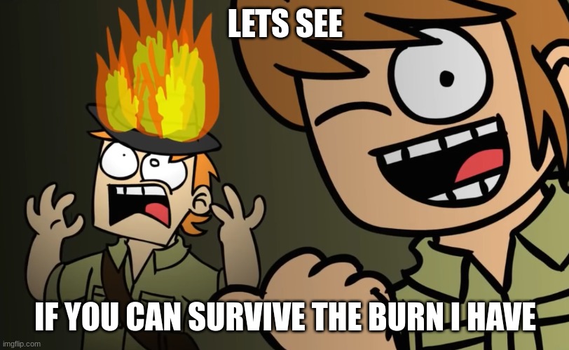 Matt on fire | LETS SEE IF YOU CAN SURVIVE THE BURN I HAVE | image tagged in matt on fire | made w/ Imgflip meme maker