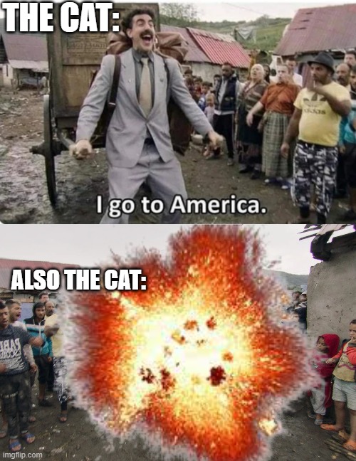 THE CAT: ALSO THE CAT: | image tagged in i go to america,borat i go to america | made w/ Imgflip meme maker