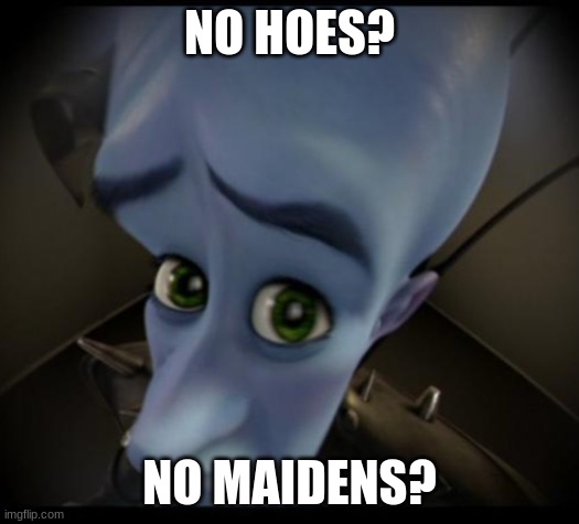 Megamind peeking | NO HOES? NO MAIDENS? | image tagged in no bitches | made w/ Imgflip meme maker