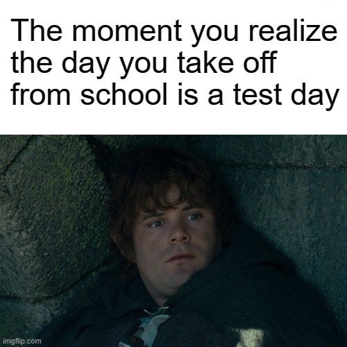 Skipping School | The moment you realize the day you take off from school is a test day | image tagged in lotr,lord of the rings | made w/ Imgflip meme maker