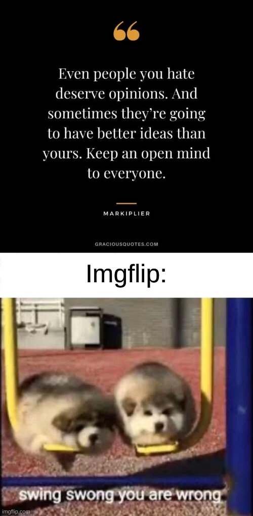 imgflip vs markiplier quotes | Imgflip: | image tagged in swing swong you are wrong | made w/ Imgflip meme maker