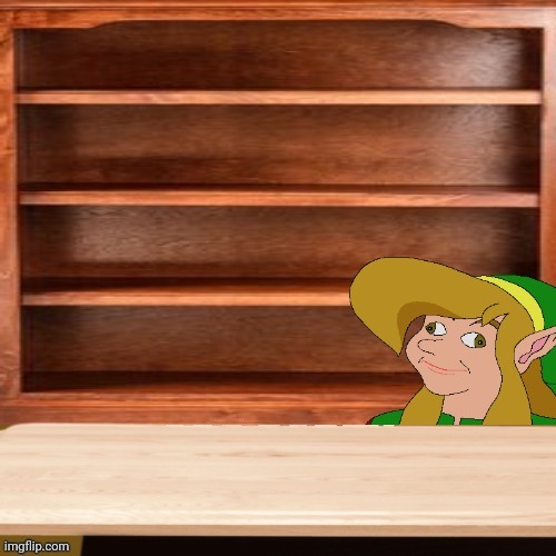 derp link empty shelves shop-s.top 4sale template | image tagged in derp link empty shelves shop-s top 4sale template,derp link shelves,shopstop,4sale,for sale,store | made w/ Imgflip meme maker