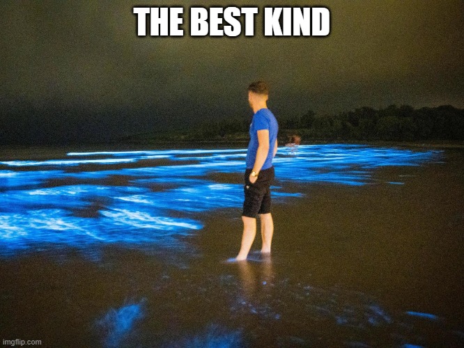 THE BEST KIND | made w/ Imgflip meme maker