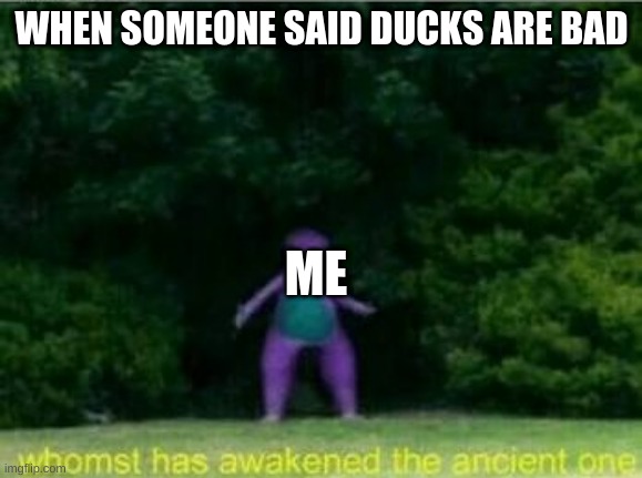 time to die duck hater's | WHEN SOMEONE SAID DUCKS ARE BAD; ME | image tagged in whomst has awakened the ancient one | made w/ Imgflip meme maker