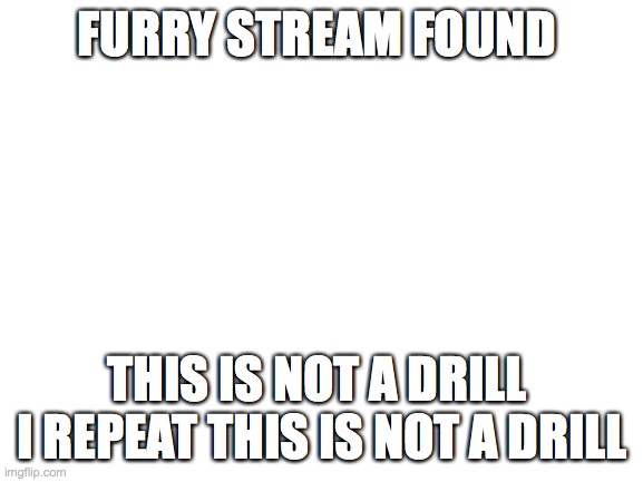 https://imgflip.com/m/Furries-stream there it is | FURRY STREAM FOUND; THIS IS NOT A DRILL  I REPEAT THIS IS NOT A DRILL | image tagged in blank white template | made w/ Imgflip meme maker