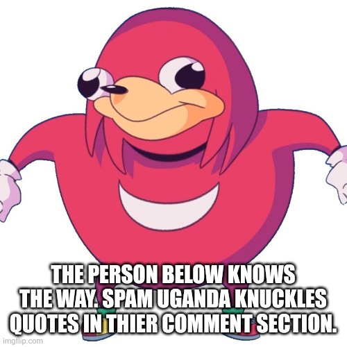 do you know da wae | THE PERSON BELOW KNOWS THE WAY. SPAM UGANDA KNUCKLES QUOTES IN THIER COMMENT SECTION. | image tagged in do you know da wae | made w/ Imgflip meme maker